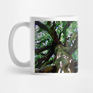 Under the old  beech tree Mug